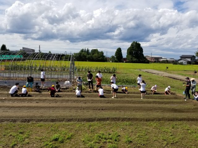 ふれあい交流活動を行いました！